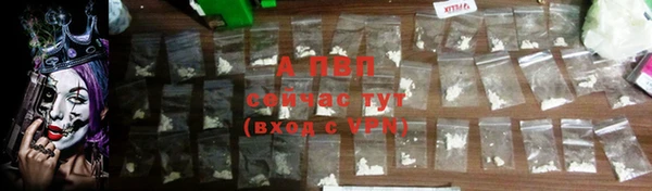 амф Сосновоборск