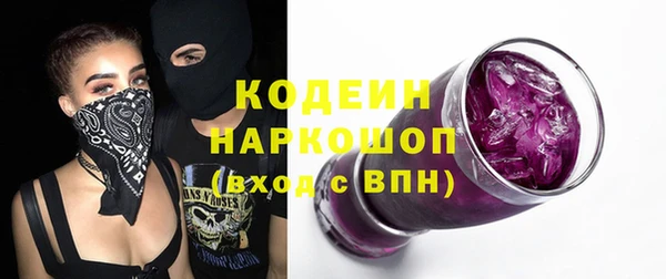 стаф Губаха