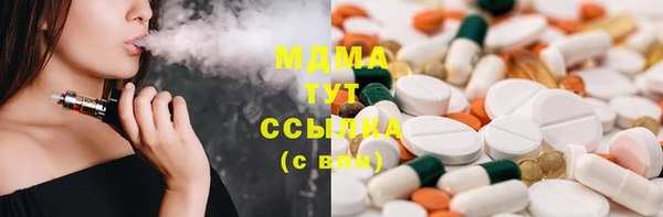 стаф Губаха