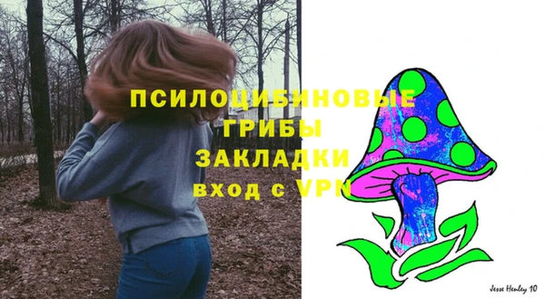 стаф Губаха