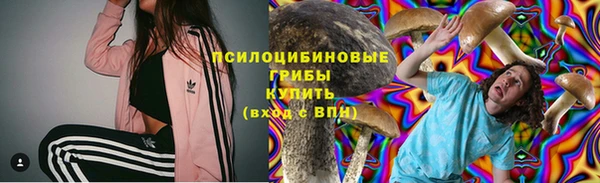 амф Сосновоборск