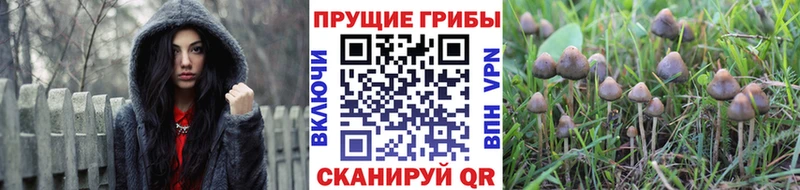 продажа наркотиков  Бирюч  Псилоцибиновые грибы ЛСД 